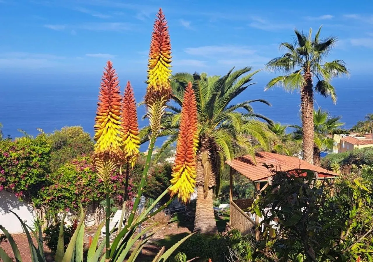 Apartment Villa Larnia De Tenerife Sauzal