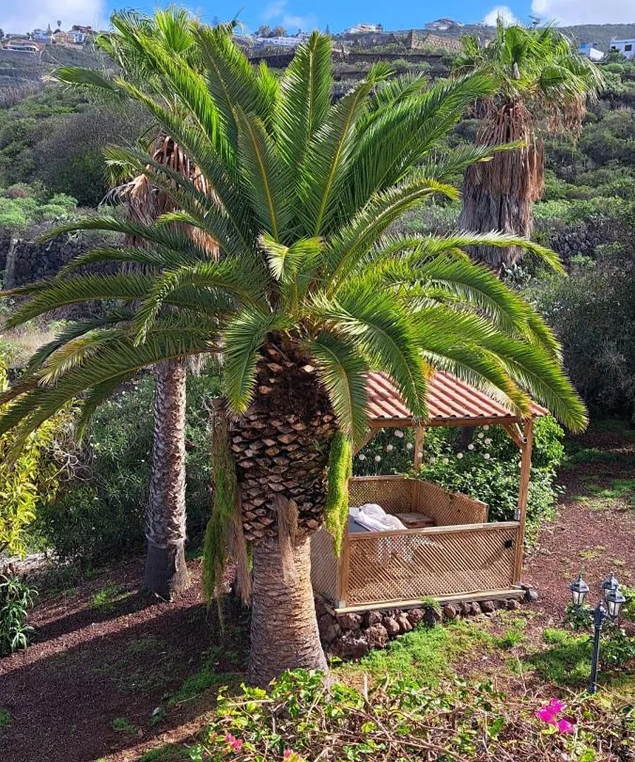 Villa Larnia De Tenerife Sauzal Spain