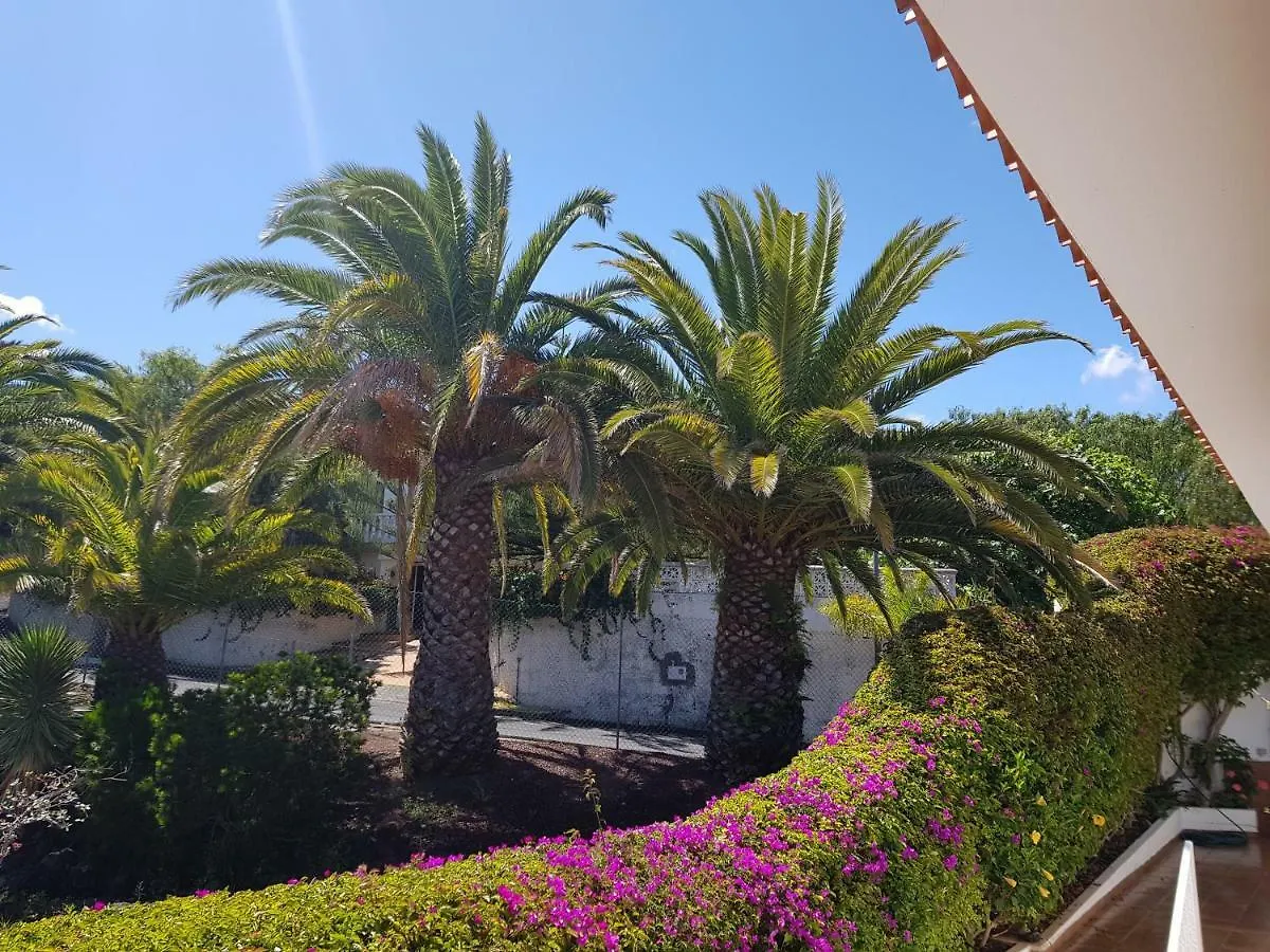 Villa Larnia De Tenerife Sauzal 0*,