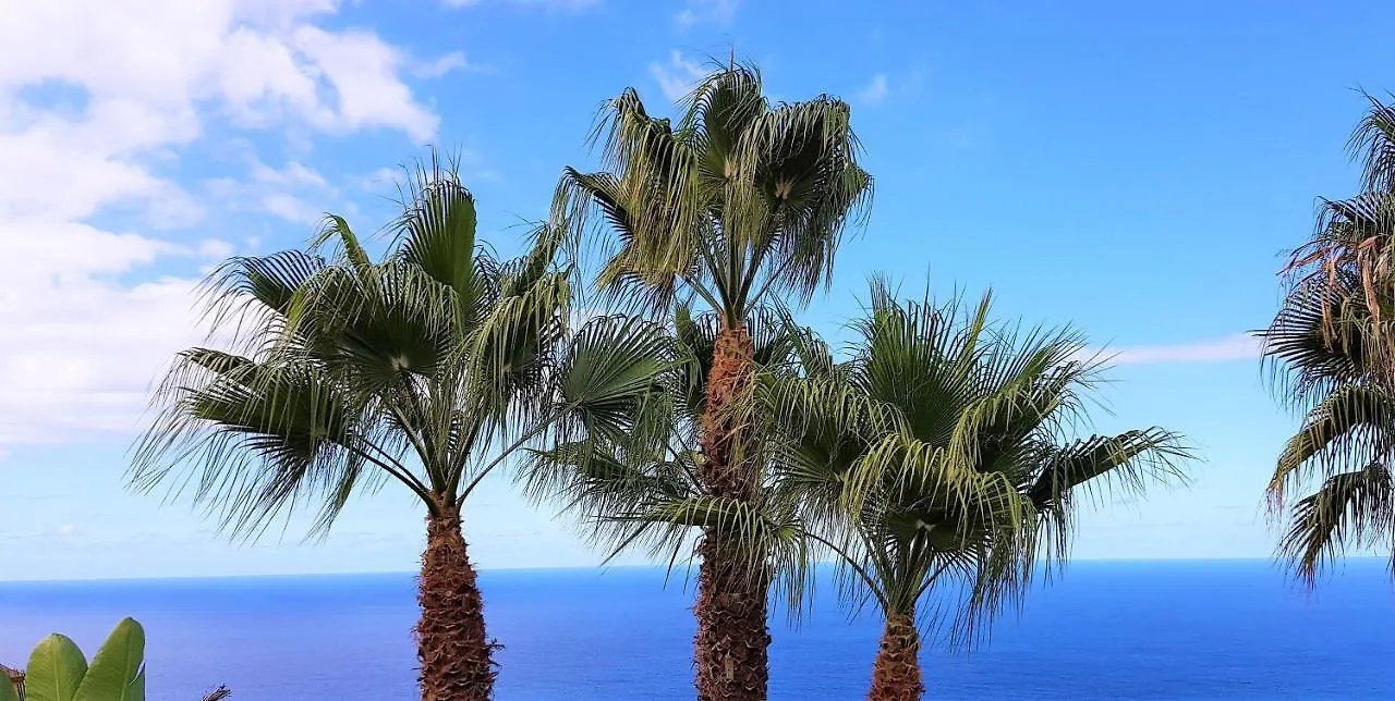 Villa Larnia De Tenerife Sauzal 0*,